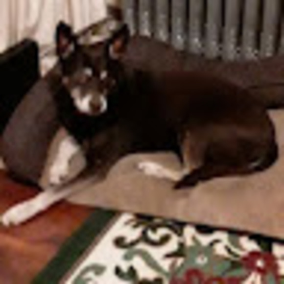 Meet your Posher, Krislyn - Picture 1 of 1